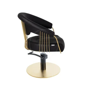 Scaun coafor / styling chair Alpeda ELITE GOLD - imagine 3