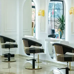 Scaun coafor / styling chair Alpeda ELITE GOLD - imagine 6