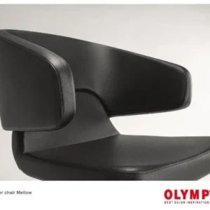 Scaun coafor / styling chair Olymp MELLOW - imagine 10