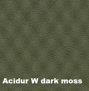 Acidur W dark moss