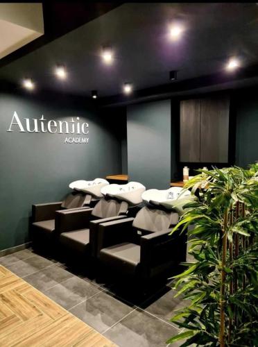 Authentic Academy - Iasi